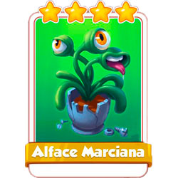 Alface Marciana