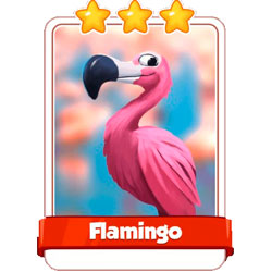 Flamingo 