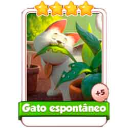 Gato Espontâneo