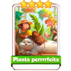 Planta Perrrrfeita